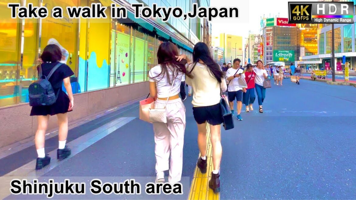 4K 60fps HDR// Take a walk in Tokyo, Japan, Shinjuku South Area→Rambling Road→ Shinjuku East area
