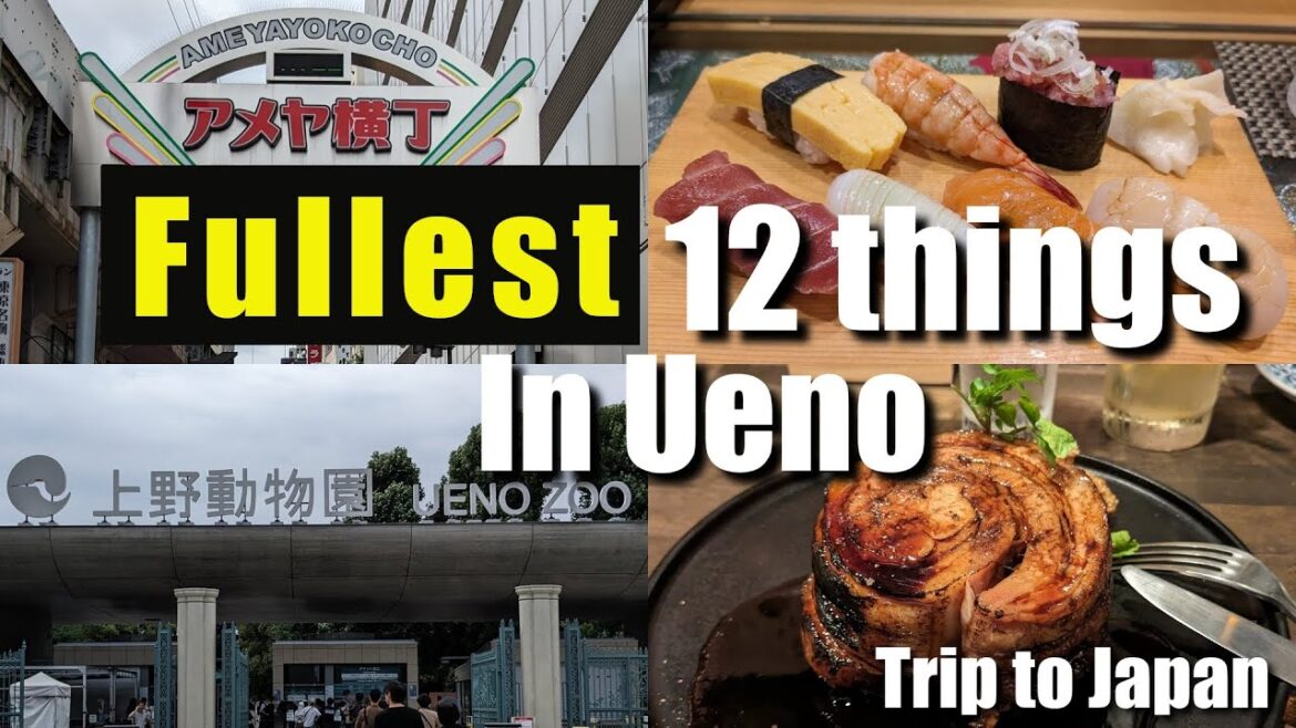 A Guide to enjoy Ueno Park and Ameya Yokocho Market to the fullest in 2023, Summer