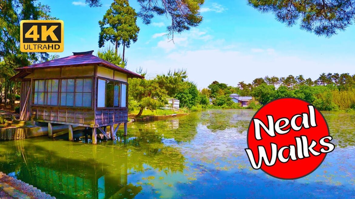 Rare Access to a Unique Japanese Garden [4K 60FPS]