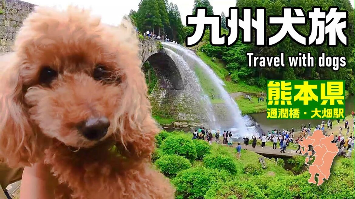 【九州犬旅 車中泊】熊本の出世する駅と通潤橋の放水を見て霜降り馬刺し堪能!|九州旅行|大畑駅|通潤橋|馬刺し|キャンピングカー|車中泊旅|INUVAN イヌとバンライフ 【九州犬旅 車中泊】熊本の出世する駅と通潤橋の放水を見て霜降り馬刺し堪能!|九州旅行|大畑駅|通潤橋|馬刺し|キャンピングカー|車中泊旅|INUVAN イヌとバンライフ