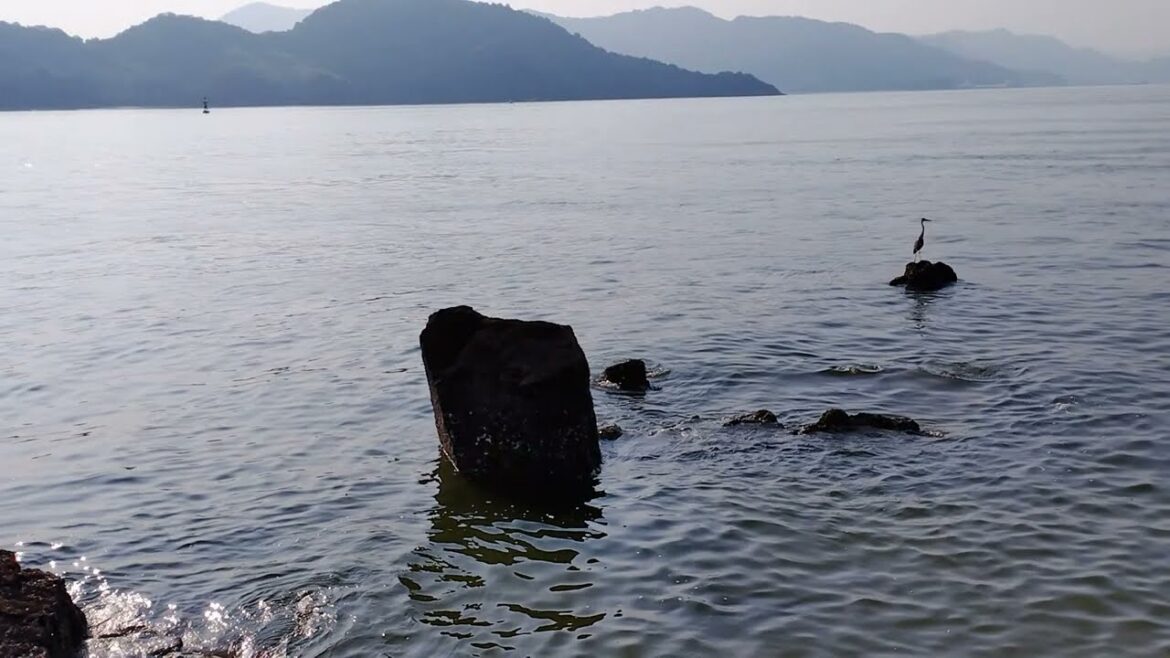 Japan Beach Clean-Up - Volunteering in Hiroshima #plasticfreejuly #trashtag #oceanplastic