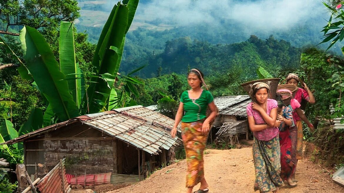 বৈচিত্র্যে ভরা পাহাড়ি বান্দরবান ||  HILLY BANDARBAN WITH  DIVERSE BEAUTY || PANORAMA DOCUMENTARY