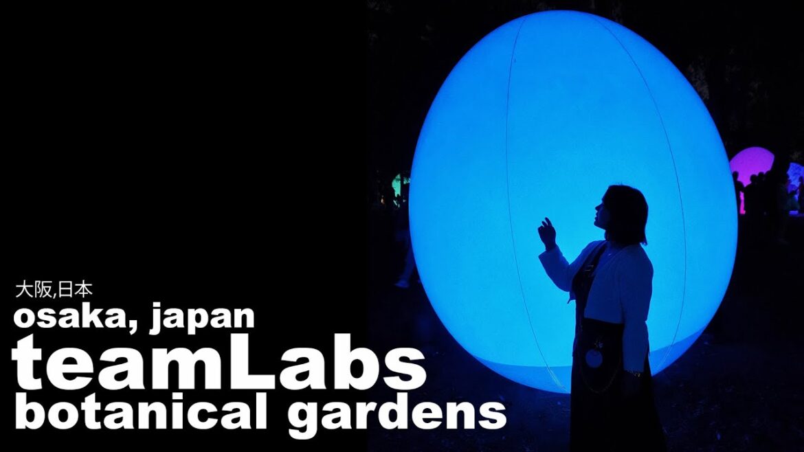 This is How I Spent a Week In Osaka, Japan 😱 | TeamLab Botanical Garden