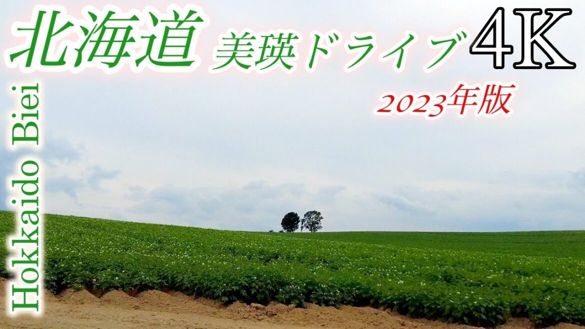 【4K】北海道 丘のまち美瑛の絶景 / ケンとメリーの木 親子の木 パッチワークの路 / Hokkaido,biei