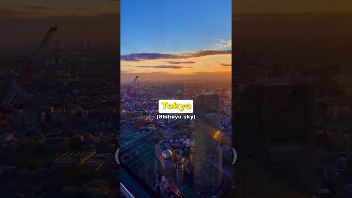 Shibuya Sky: Above the Urban Horizon #japan #tokyo #shibuya #shibuyasky #sky #city #views Shibuya Sky: Above the Urban Horizon #japan #tokyo #shibuya #shibuyasky #sky #city #views