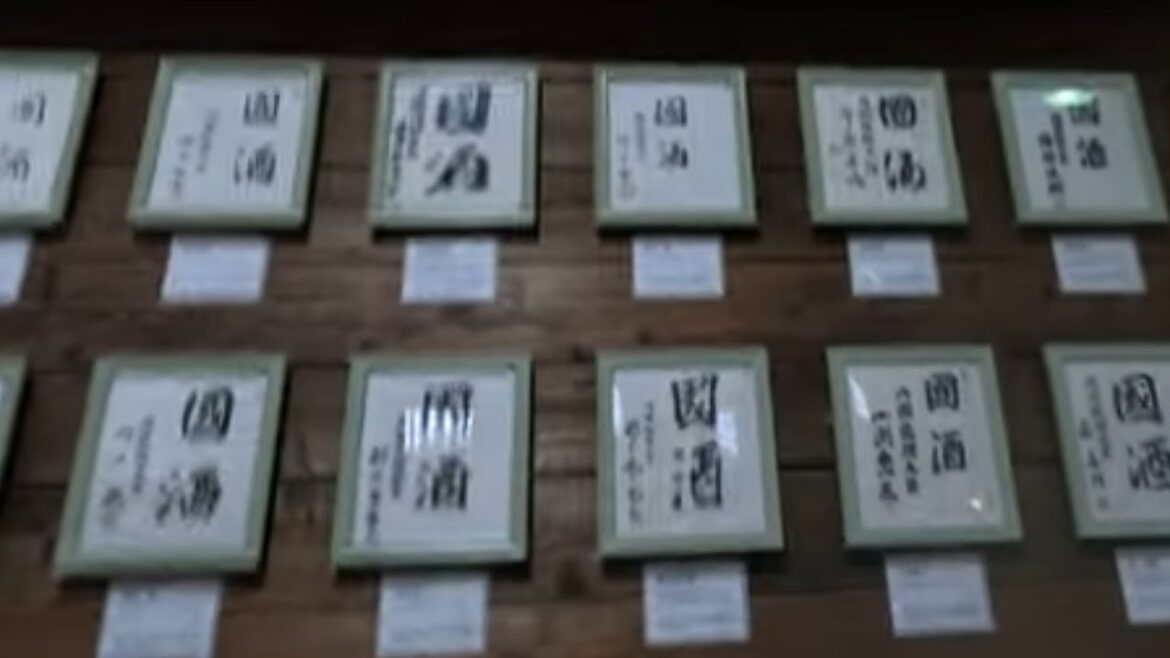 青春18きっぷでどこにいく？