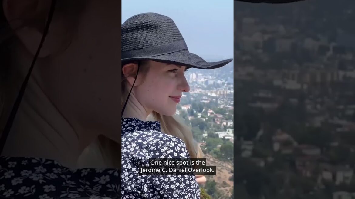 Dhruv Rathee Shows us… The Hollywood Sign! Dhruv Rathee Shows us... The Hollywood Sign!
