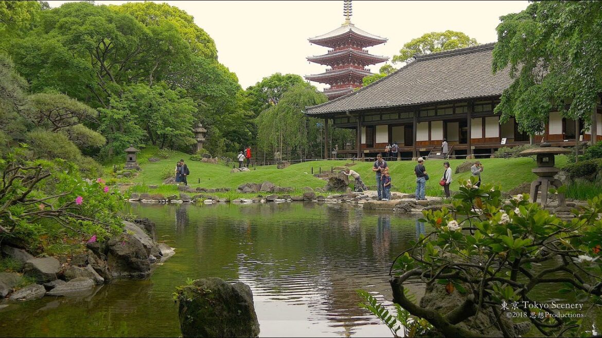 4K 伝法院庭園 浅草 Denbo-in Garden Asakusa Tokyo JAPAN 4K 伝法院庭園 浅草 Denbo-in Garden Asakusa Tokyo JAPAN