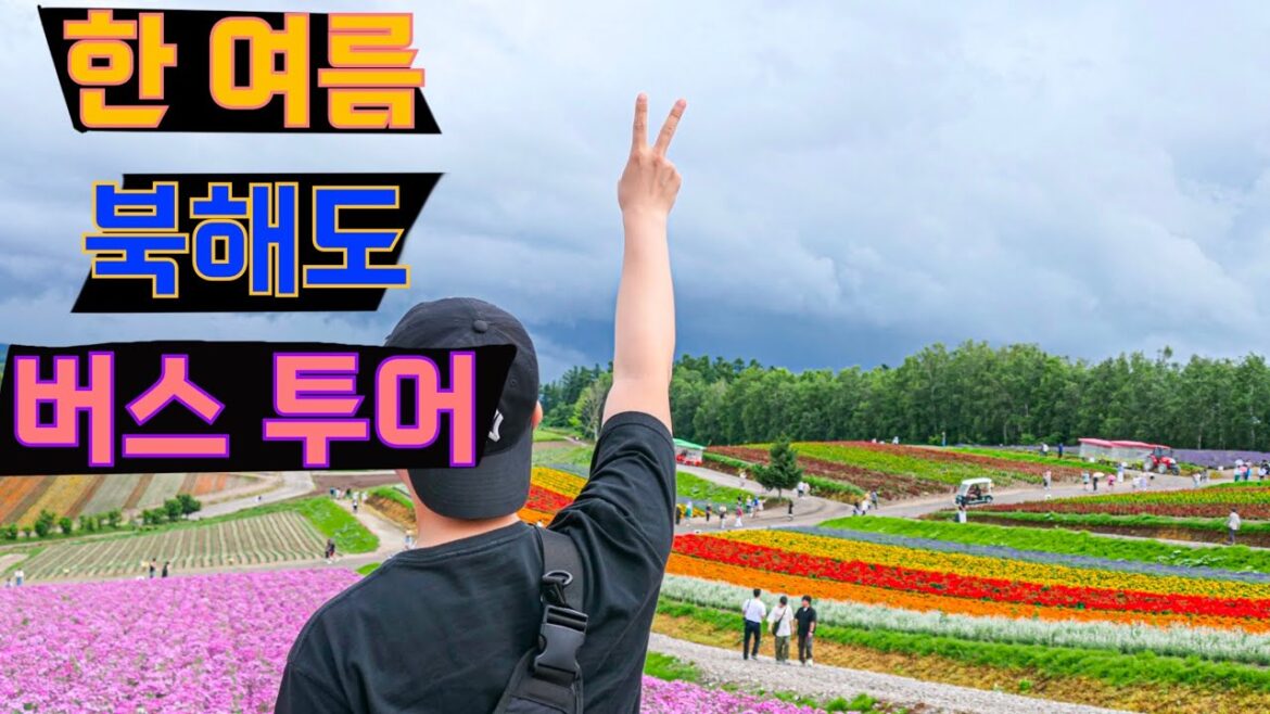 무명배우의 나홀로 홋카이도 후라노 버스투어 ep.03 .홋카이도 여름여행🇯🇵후라노.비에이 北海道旅行の秘密記録です 브이로그 무명배우의 나홀로 홋카이도 후라노 버스투어 ep.03 .홋카이도 여름여행🇯🇵후라노.비에이 北海道旅行の秘密記録です 브이로그