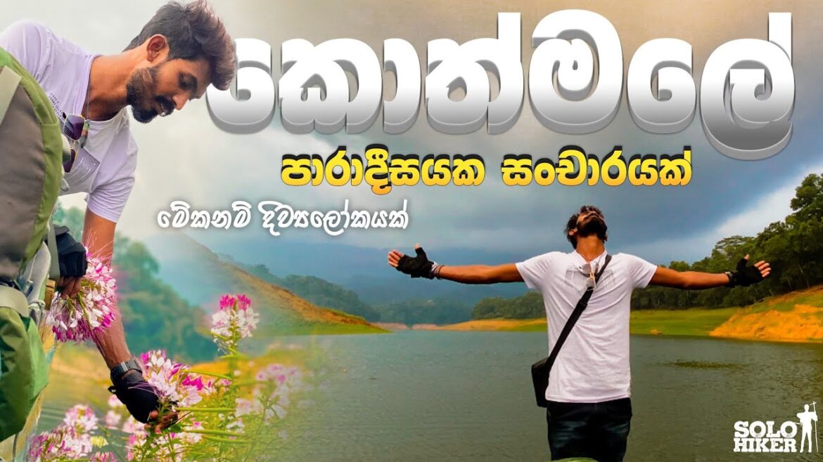 පාරාදීසයක සංචාරයක් | ගිලීගිය පුරාවෘතයක නටඹුන් සොයා කොත්මලේ ජලාශය වෙත | Solo Hiker | පාරාදීසයක සංචාරයක් | ගිලීගිය පුරාවෘතයක නටඹුන් සොයා කොත්මලේ ජලාශය වෙත | Solo Hiker |