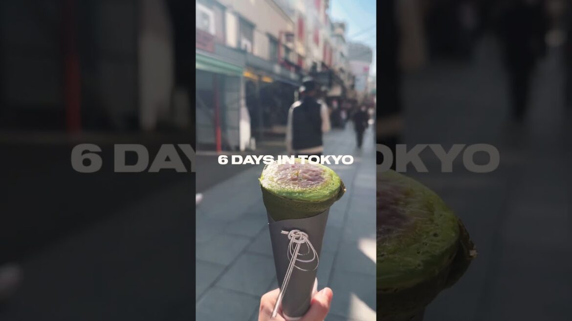 15 Days in Japan