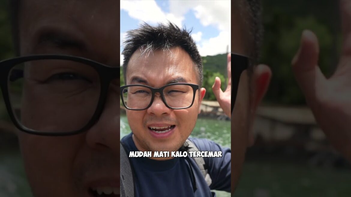 WAJIB COBA‼️Ikan LANGKA di Kolam Taiwan🇹🇼