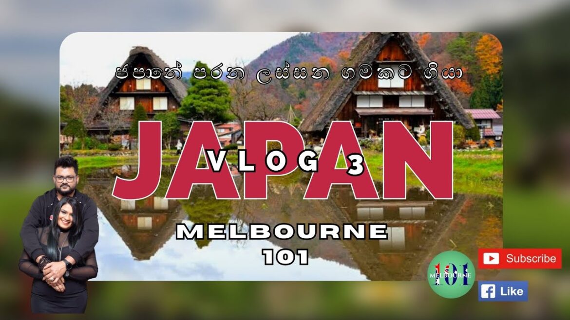 Japan Vlog 3 - Shirakawa-go (Gifu Prefecture) #travel  #japan tour #sinhala 🇯🇵🇯🇵