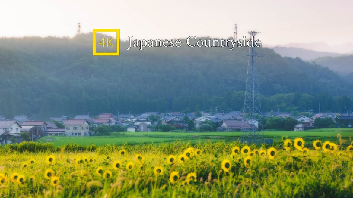 【4K Japan】Walk in Seiryo-machi/Ishikawa Prefecture/Sunrise walk 【4K Japan】Walk in Seiryo-machi/Ishikawa Prefecture/Sunrise walk