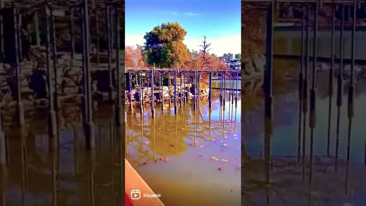 Tenougawa park.#Nagoya japan#tenougawapark #park #visitjapan #japan# shorts #shortfeed #japanlife