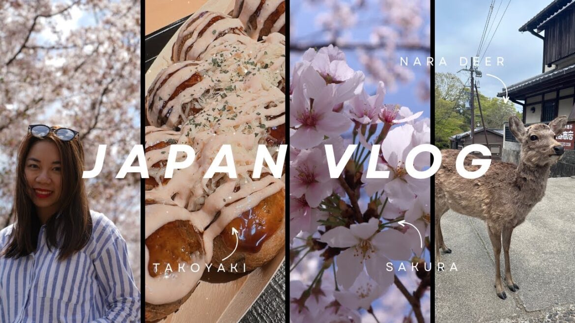 Spring in Japan Travel Vlog | Akihabara, Gyukatsu, Ichiran Ramen and Tsukiji Market