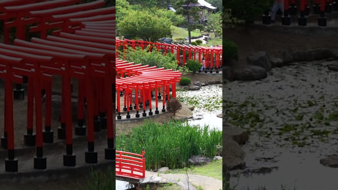 高山稲荷神社へ登山後に青森周辺観光!! in青森県つがる市 #shorts