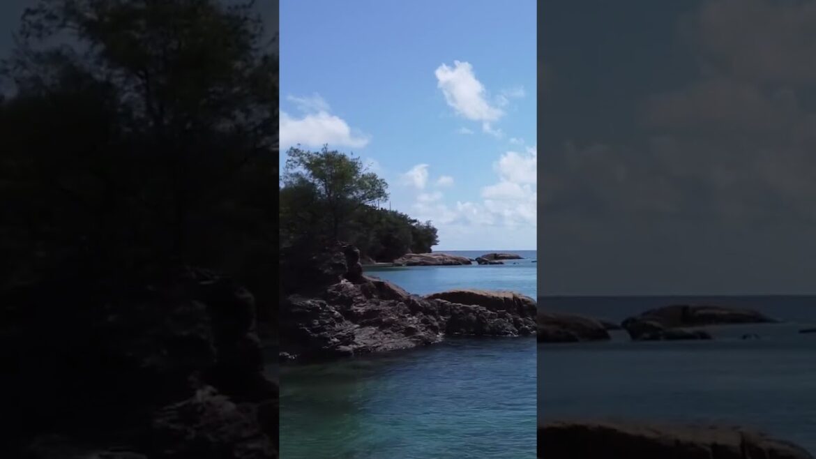 The blue Okinawa Jp #shorts