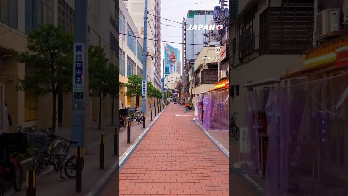 📍Japan 🇯🇵 #shorts #japan #tokyo