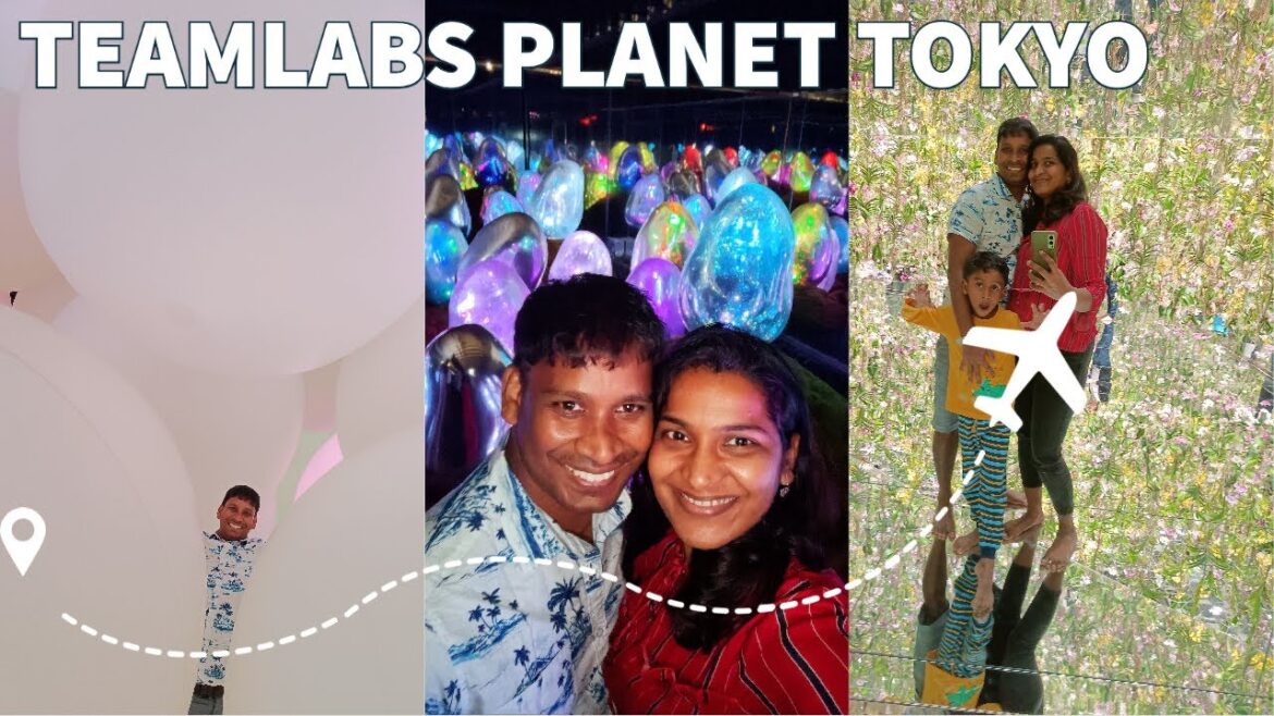 Incredible Vlog: Indian Family's Journey at Teamlab Planets Tokyo, Japan | DIML