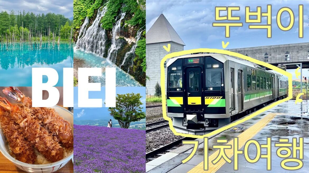 비에이 후라노 뚜벅이 기차여행🚂 1탄ㅣ청의호수ㅣ흰수염폭포ㅣ준페이🍤ㅣ라벤더 명소ㅣ히노데공원ㅣ홋카이도ㅣBieiㅣFuranoㅣHokkaidoㅣJapanㅣ오또무일 Ottomuil
