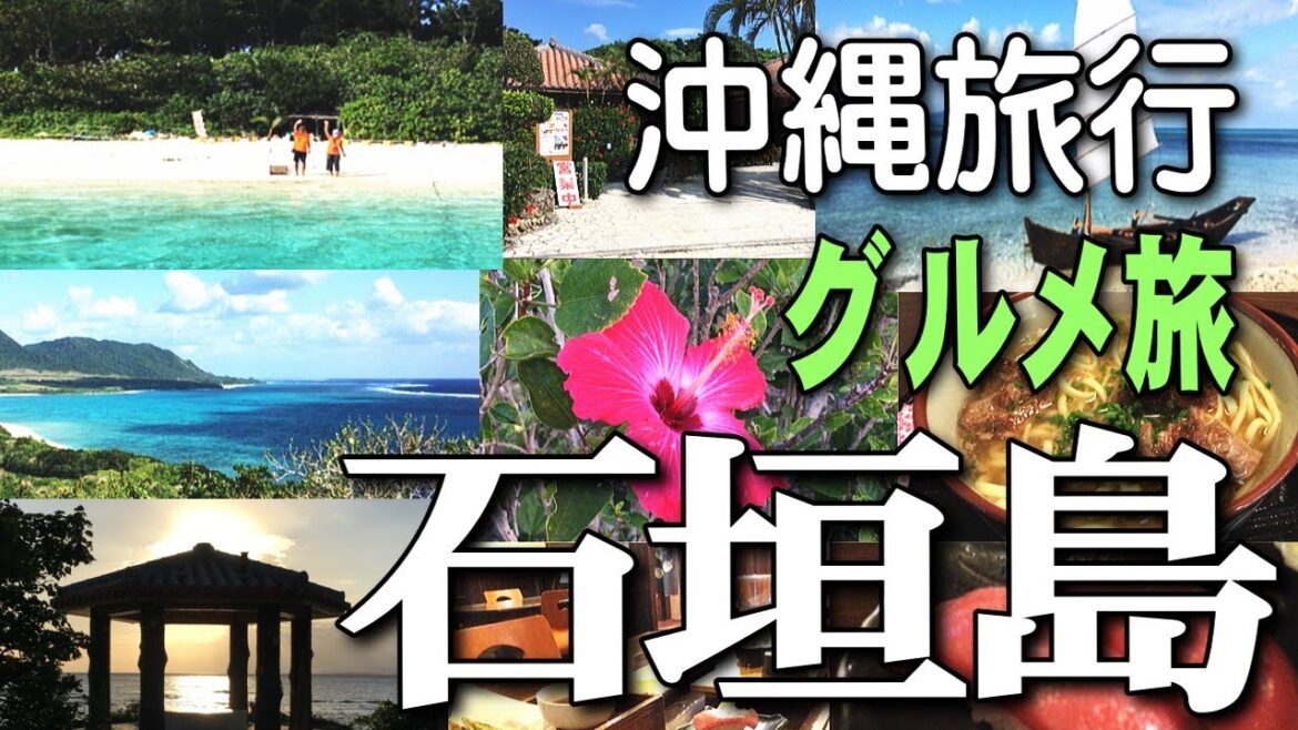 【石垣島旅行Vlog】人気観光スポットと石垣グルメ｜島一周ドライブ｜沖縄旅行