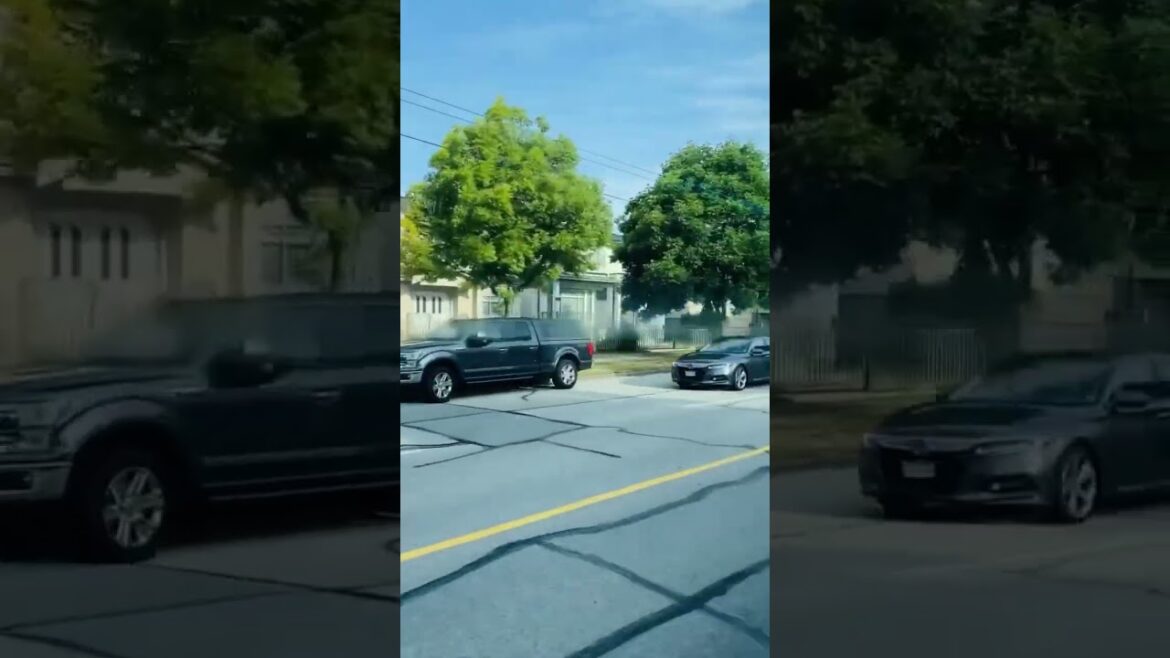 Ultimate Roadtrip Adventure: Exploring Hidden Gems #travelvideo #socialmedia  #shorts #travel