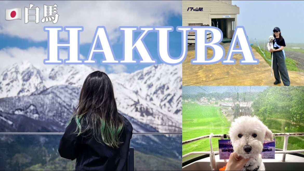 #3ใ๐ฏ๐ตๆ
ใ้ท้็็ฝ้ฆฌใธๆ็ฌใจๆ
ๅ็ทจ/Travering with ny dog to Hakuba in Nagano #3ใ๐ฏ๐ตๆ
ใ้ท้็็ฝ้ฆฌใธๆ็ฌใจๆ
ๅ็ทจ/Travering with ny dog to Hakuba in Nagano