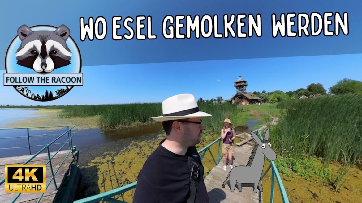 Serbien Teil 2 - Wo Esel gemolken werden