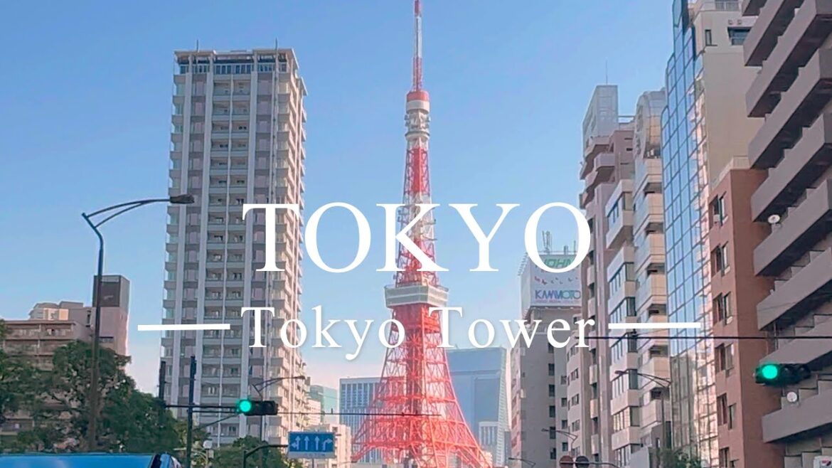 Tokyo 4K HDR Driving Downtown Tour Tokyo Tower 東京タワー 東京ドライブ japan start:6:30am Tokyo 4K HDR Driving Downtown Tour Tokyo Tower 東京タワー 東京ドライブ japan start:6:30am