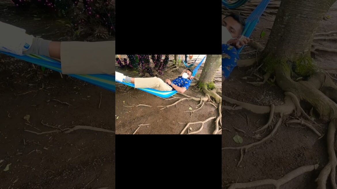 Atami vacation අටමි නිවාඩුව🇯🇵🇯🇵🎣