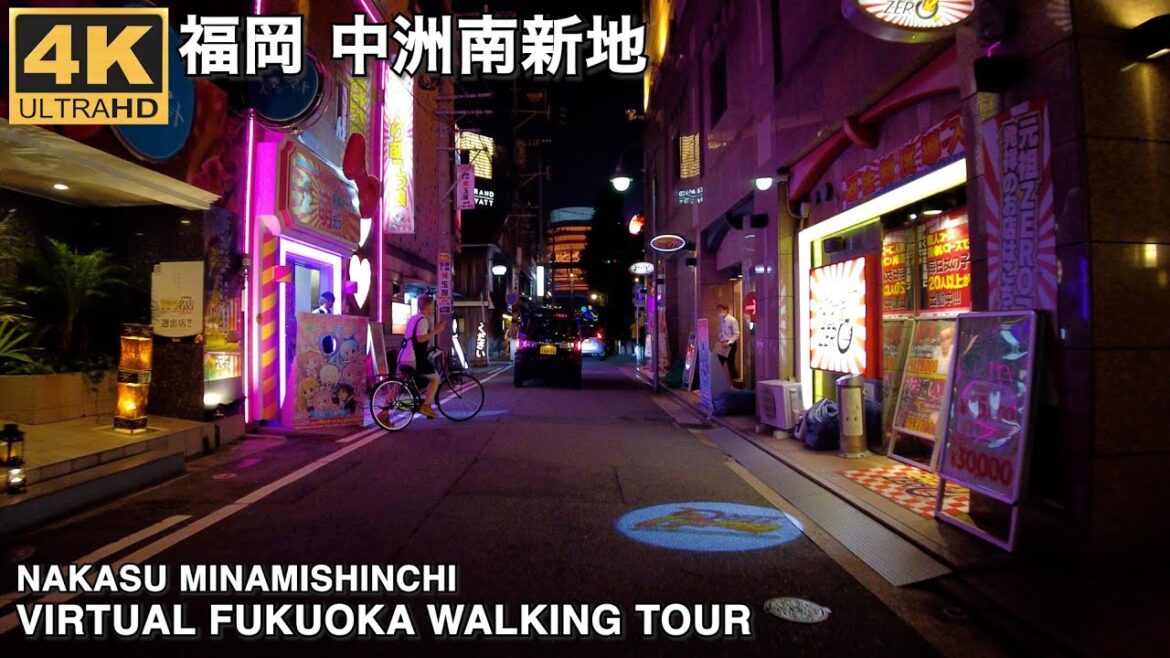 福岡中州南新地から中州屋台横丁へ歩く4k virtual Japan Fukuoka walking tour around Nakasu
