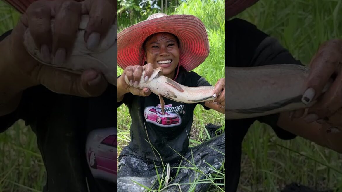 How to catch fish and cook it with Bum & Jam #shorts How to catch fish and cook it with Bum & Jam #shorts