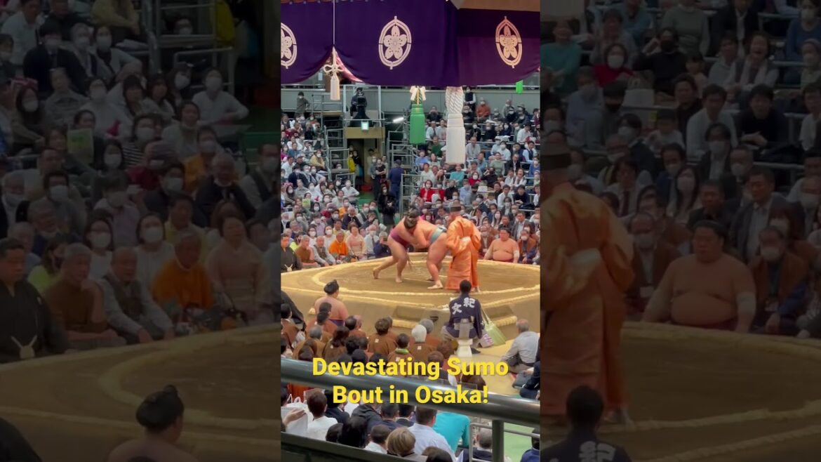 Devastating Sumo Bout in Osaka Japan! #japan #sumo #osaka #japantravel #sports #travel #insane
