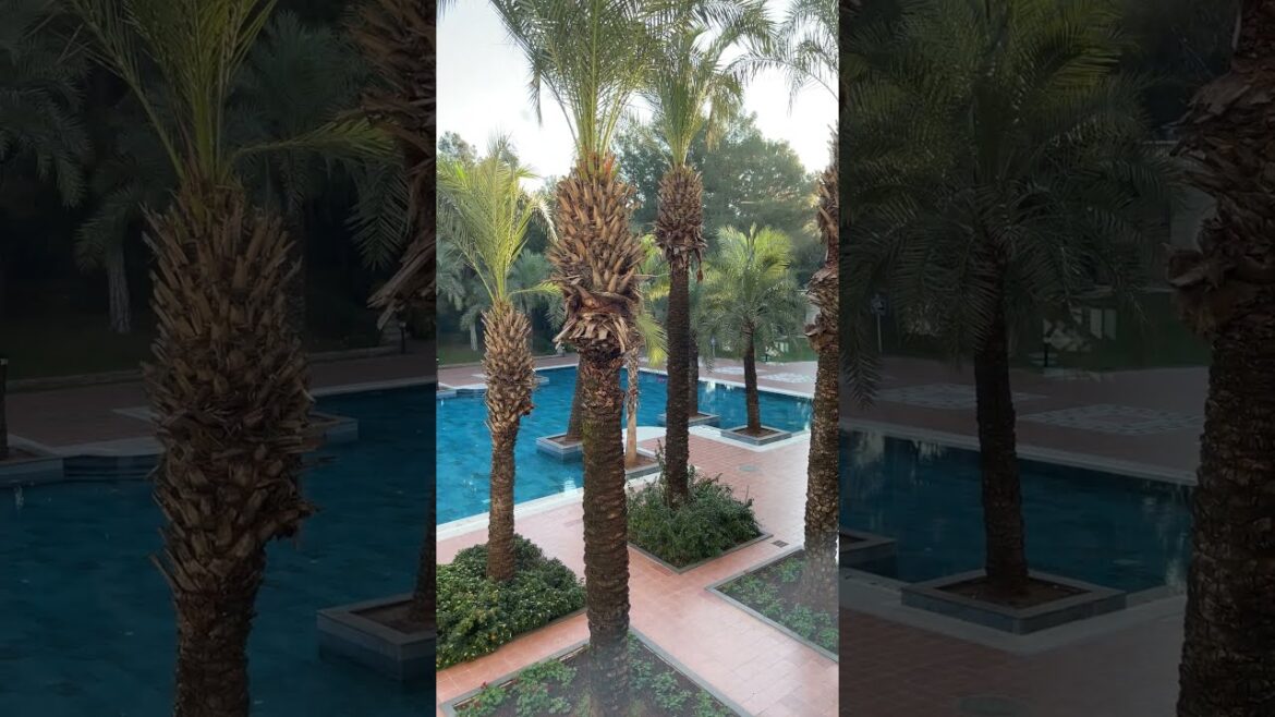 🇹🇷 LOVELY AIRPORT HOTEL IN TURKIYE @ IC HOTELS ANTALYA🌴 #AntalyaTurkey 🌞 POOL AND PALM VIEWS