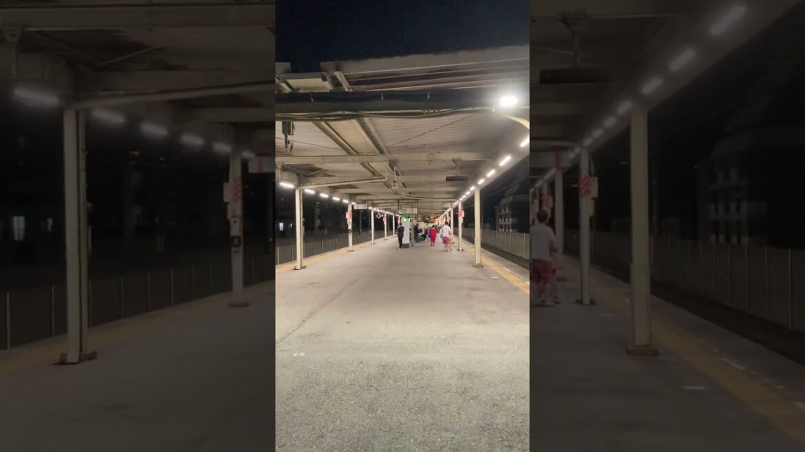 425 Hon Chiba, Chiba