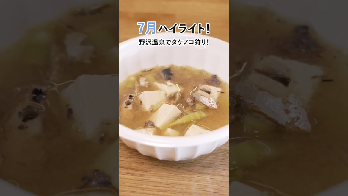 【ナガトリ】7月ハイライト #shorts #長野県 #飯田 #白馬 #野沢温泉 【ナガトリ】7月ハイライト #shorts #長野県 #飯田 #白馬 #野沢温泉