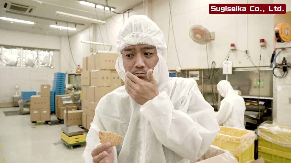 [Aichi-Nagoya Technical Visit] Sugiseika Co., Ltd. スギ製菓株式会社