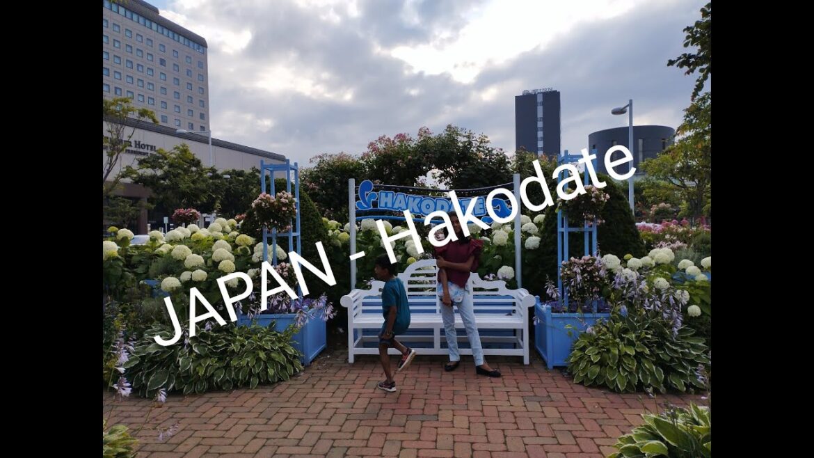 Japan trip part 1- Tokyo - Hakodate Island/ Hayabusa fastest bullet train trip