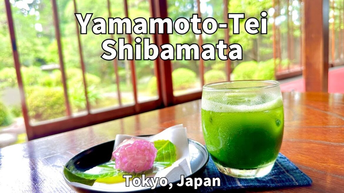 Yamamoto-Tei, Break Time while Shibamata Walk, Tokyo | JAPAN Walking Tour