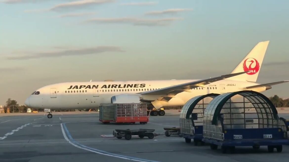 Japan Travel - Vlog | new videos 2023