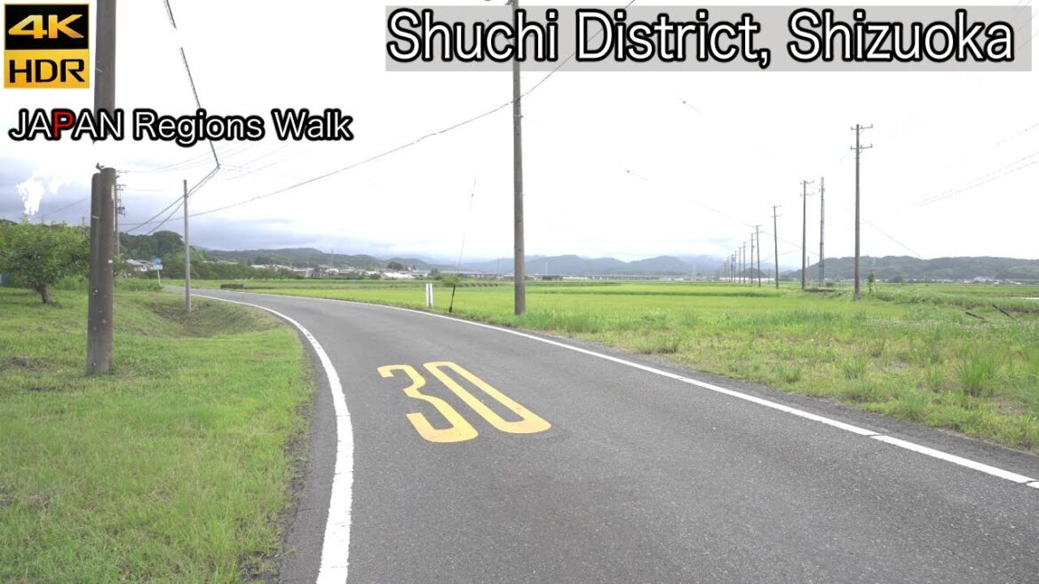 From Suzukinouen to Enden Sta | Mori, Shizuoka | 4K HDR | 静岡県周智郡