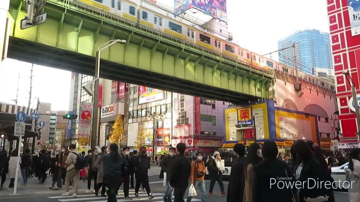 JAPAN TRAVEL VLOG| WINTER IN TOKYO AND SHIZUOKA| Exploring people life in Japan, Shinjuku