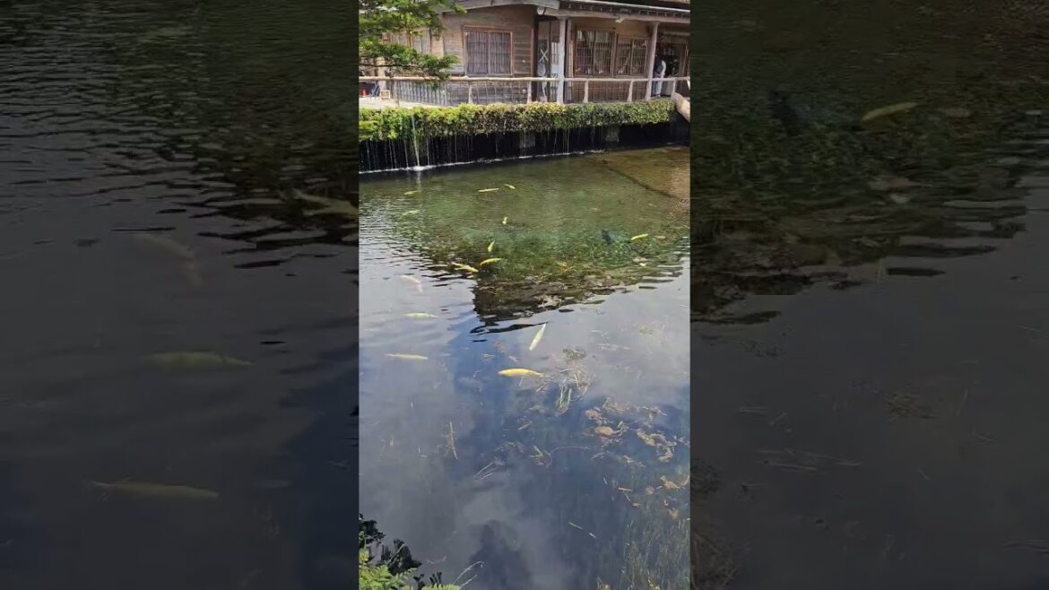 Japan Shizuoka Oshino Hakkai Pond #japan #Shizuoka #ohshinohakki #pond