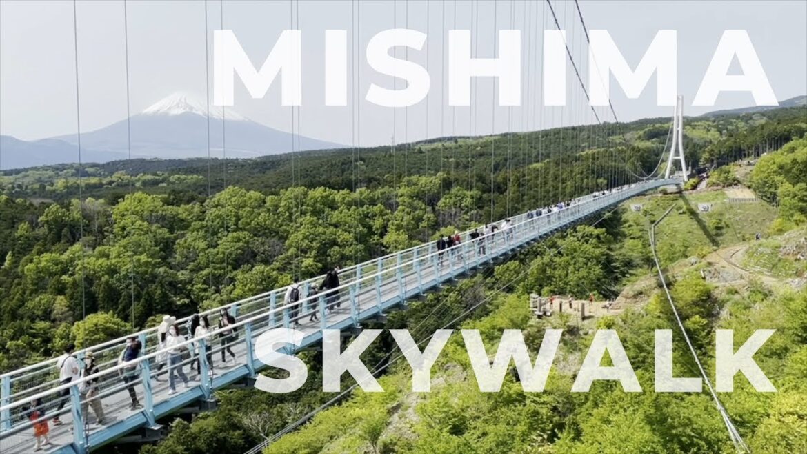 The Best Way To View Mt. Fuji/ Mishima Skywalk | IDEBOK Cow Resort | Things to do in Yamanashi
