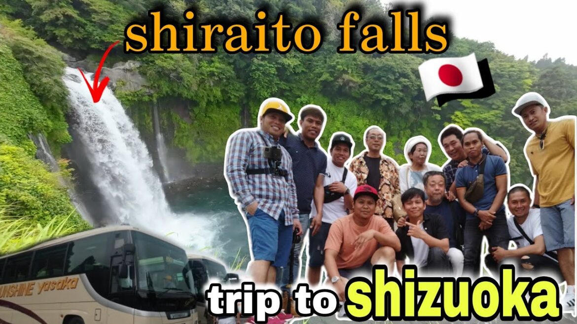 Trip to SHIZUOKA [ SHIRAITO WATER FALLS | MISHIMA SKYWALK ] | Company Tour | YANZZ LABRASO