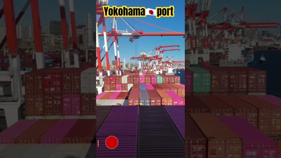 🇯🇵Yokohama@Japan #viral #trending #ytshorts #shorts #short 🇯🇵Yokohama@Japan #viral #trending #ytshorts #shorts #short