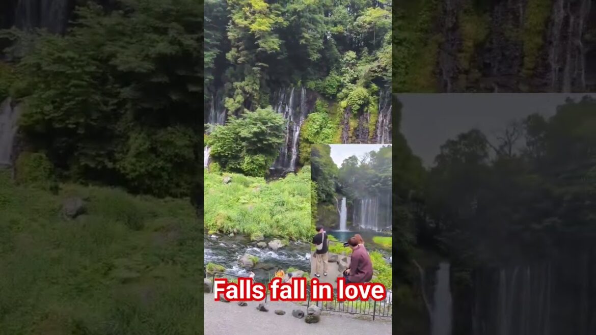 falls of wonder #waterfall #travel