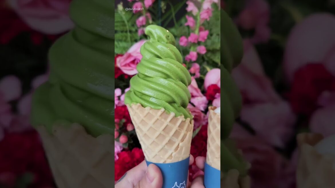 grand opening of the Daiygo Scarborough store🍦