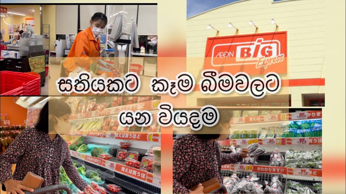 ජපානයේ සතියකට අවශ්ය කෑම බීමවලට යන සාමාන්ය වියදම – Grocery shopping cost for one week. ජපානයේ සතියකට අවශ්ය කෑම බීමවලට යන සාමාන්ය වියදම - Grocery shopping cost for one week.